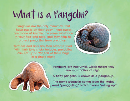 DUAL SIGNED Penny Pangolin and the Missing Ant Cake (Hardcover)